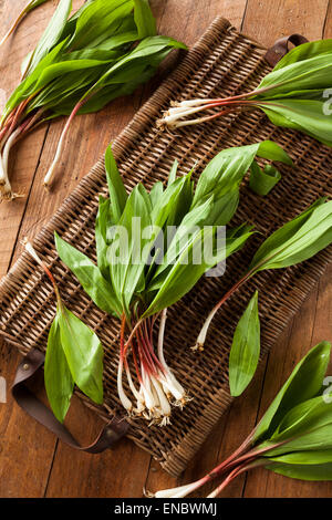 Rohe Bio grüne Rampen Ready to Cook mit Stockfoto