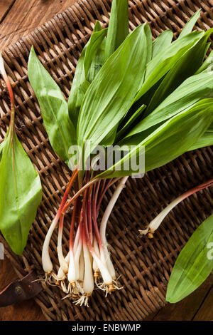 Rohe Bio grüne Rampen Ready to Cook mit Stockfoto