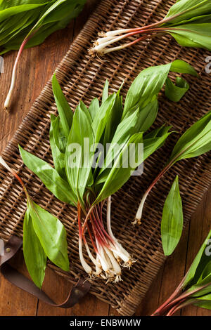 Rohe Bio grüne Rampen Ready to Cook mit Stockfoto