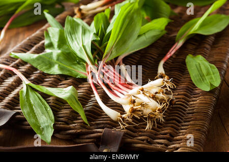 Rohe Bio grüne Rampen Ready to Cook mit Stockfoto