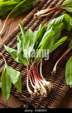 Rohe Bio grüne Rampen Ready to Cook mit Stockfoto