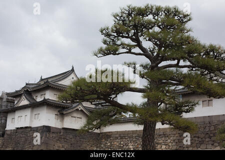 Eingang zur Burg von Osaka, Osaka, Japan. Stockfoto