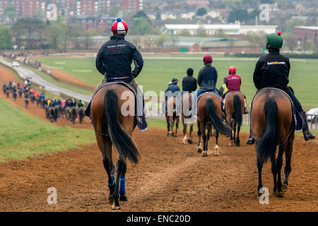 Pferde und Reiter auf die Galopps machen ihren Weg zurück in Newmarket bei Handelsschluss läuft. Stockfoto
