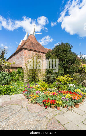 Bunte Blumentöpfe von Frühlingsblumen und Oast Häuser am Great Dixter, ein Landhaus in Northiam, East Sussex, Großbritannien Stockfoto