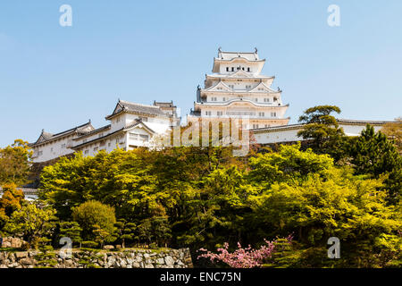 Die restaurierte Burg Himeji ist vom klassischen Aussichtspunkt aus vom Schlosspark aus zu sehen. Strahlend weiß gegen einen blauen wolkenlosen Himmel im Frühling Stockfoto