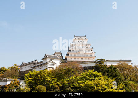 Die restaurierte Burg Himeji ist vom klassischen Aussichtspunkt aus vom Schlosspark aus zu sehen. Strahlend weiß gegen einen blauen wolkenlosen Himmel im Frühling Stockfoto