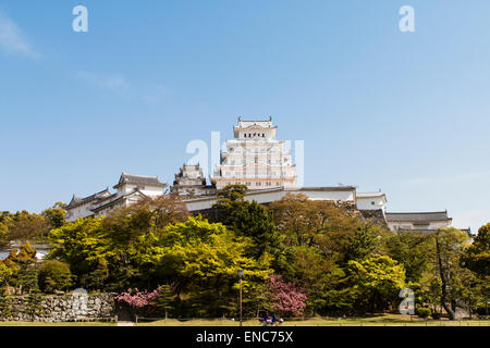 Die restaurierte Burg Himeji ist vom klassischen Aussichtspunkt aus vom Schlosspark aus zu sehen. Strahlend weiß gegen einen blauen wolkenlosen Himmel im Frühling Stockfoto