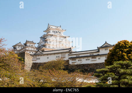 Das Ri-no-Ichi Watari Yagura, ein defensiver Turm, mit dem halten von Himeji Burg, das über gegen einen Frühling klaren blauen Himmel aufragt. Helles Sonnenlicht. Stockfoto