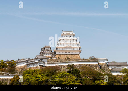 Die restaurierte Burg Himeji ist vom klassischen Aussichtspunkt aus vom Schlosspark aus zu sehen. Strahlend weiß gegen einen blauen wolkenlosen Himmel im Frühling Stockfoto