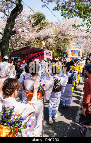 Ein Team reifer Frauen in Kimono-Kleidung singt und tanzt unter den Kirschblüten während der jährlichen Genji-Parade im Frühling in Tada in Japan. Stockfoto