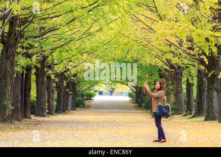 TOKYO, JAPAN - NOVEMBER 7: Straße in Tokio, Japan am 7. November 2014. Die Straße in der Nähe Meiji Jingu Gaien, die schöne G hat Stockfoto