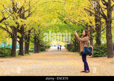 TOKYO, JAPAN - NOVEMBER 7: Straße in Tokio, Japan am 7. November 2014. Die Straße in der Nähe Meiji Jingu Gaien, die schöne G hat Stockfoto