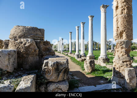 Salamis Ruinen, in der Nähe von Gazimagusa (Famagusta), Nord-Zypern Stockfoto