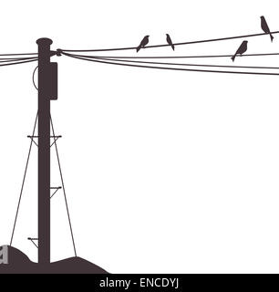 Ein paar Vögel sitzen auf einem Fernschreiber-Draht Stockfoto