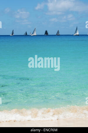 St Barth, St. Barths, Saint-Barthélemy, Französische Antillen, Französische Antillen: Segeln Boote während der Regatta Les Voiles de Saint Barth 2015 Stockfoto