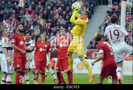 Leverkusen, Deutschland. 2. Mai 2015. Leverkusens Torwart Bernd Leno fängt den Ball in der deutschen Bundesliga-Fußballspiel zwischen Bayer Leverkusen und Bayern München in der BayArena in Leverkusen, Deutschland, 2. Mai 2015. Foto: FEDERICO GAMBARINI/Dpa (EMBARGO Bedingungen - Achtung - aufgrund der Akkreditierungsrichtlinien der DFL nur erlaubt die Veröffentlichung und Nutzung von bis zu 15 Bilder pro im Internet und in Online-Medien während des Spiels Match) / Dpa/Alamy Live News Stockfoto