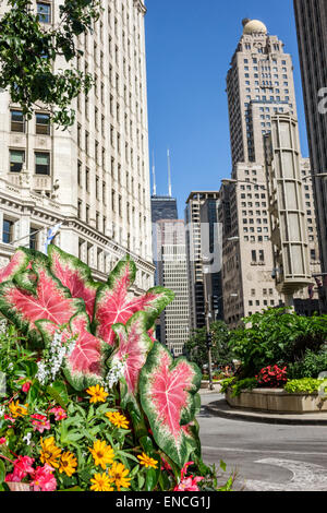 Chicago Illinois, Lower Michigan Avenue, Skyline, Wolkenkratzer, Architektur Wrigley Gebäude, historisches Bürogebäude, Wrigley Plaza, Aussicht, InterContinental C Stockfoto