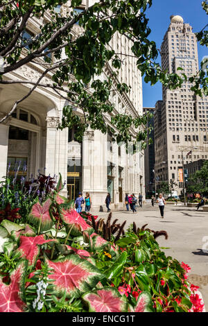 Chicago Illinois, Lower Michigan Avenue, Skyline, Wolkenkratzer, Architektur, Architektur, Wrigley-Gebäude, historisches Bürogebäude, Wrigley Plaza, Aussicht, Inte Stockfoto