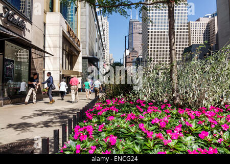 Chicago Illinois, Lower Michigan Avenue, Magnificent Mile, Skyline, Wolkenkratzer, Architekturpflanzer, Rosa, Blume, Baum, Stadtlandschaft, Kiehl's, Schaufenster, Stockfoto