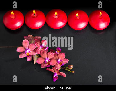 schöne Top-down-Spa-Konzept der Zweig rote Orchidee Blume, Phalaenopsis mit Wasser Tropfen und Zeile Kerzen auf schwarzem Hintergrund, clo Stockfoto