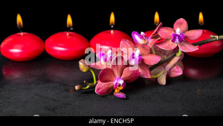 wunderschöne Spa-Konzept des blühenden Zweig rote Orchidee Blume, Phalaenopsis mit Wassertropfen und Zeile Kerzen auf schwarzem Hintergrund, pan Stockfoto