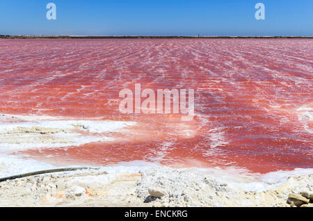 Rosa Wasserwerk des Salzes in Walvis Bay, Namibia Stockfoto