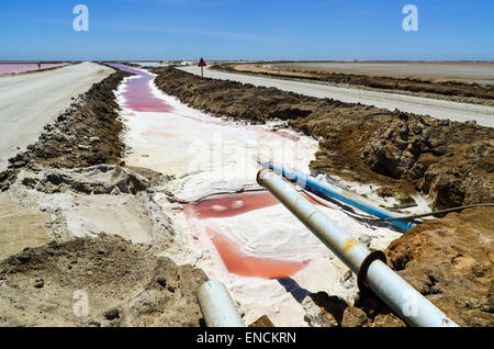 Rohr in die rosa Wasser von der Saline in Walvis Bay, Namibia Stockfoto