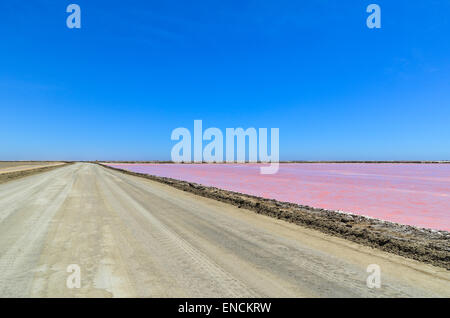 Feldweg und rosa Wasser des Salzes arbeitet in Walvis Bay, Namibia, in der Namib-Wüste Stockfoto