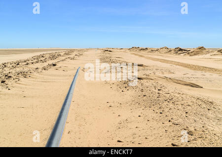 Rohr, ausgeführt in der Namib-Wüste, Namibia Stockfoto