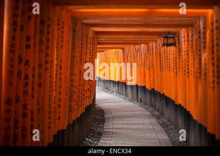 Fushimi Inari-Taisha Schrein, Kyoto, Japan. Stockfoto