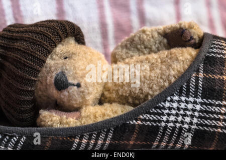 Etwas müde Teddybär schlafen in einem Pantoffel Schuh mit einer Socke auf dem Kopf Stockfoto