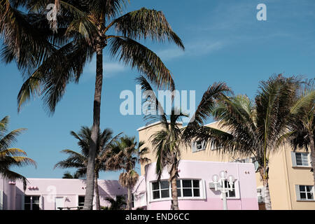 Palmen und bunten Gebäuden, Miami Stockfoto