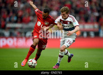 Leverkusen, Deutschland. 2. Mai 2015. Leverkusens Karim Bellarabi (L) und Münchner Rico Strieder wetteifern um den Ball an der deutschen Bundesliga-Fußballspiel zwischen Bayer Leverkusen und Bayern München in der BayArena in Leverkusen, Deutschland, 2. Mai 2015. Foto: JONAS GUETTLER/Dpa (EMBARGO Bedingungen - Achtung - aufgrund der Akkreditierungsrichtlinien der DFL nur erlaubt die Veröffentlichung und Nutzung von bis zu 15 Bilder pro im Internet und in Online-Medien während des Spiels Match) / Dpa/Alamy Live News Stockfoto