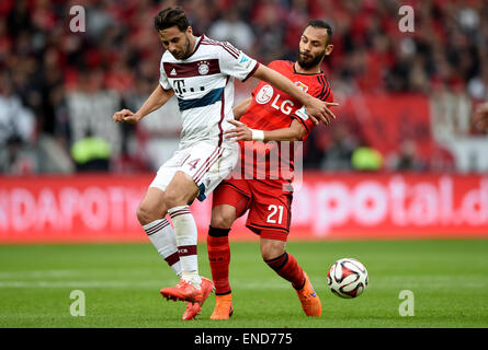 Leverkusen, Deutschland. 2. Mai 2015. Leverkusens Oemer Toprak (R) und Münchner Claudio Pizarro wetteifern um den Ball in der deutschen Bundesliga-Fußballspiel zwischen Bayer Leverkusen und Bayern München in der BayArena in Leverkusen, Deutschland, 2. Mai 2015. Foto: JONAS GUETTLER/Dpa (EMBARGO Bedingungen - Achtung - aufgrund der Akkreditierungsrichtlinien der DFL nur erlaubt die Veröffentlichung und Nutzung von bis zu 15 Bilder pro im Internet und in Online-Medien während des Spiels Match) / Dpa/Alamy Live News Stockfoto