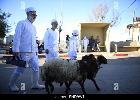 3. Mai 2015 - Berg Garizim, West Bank - Samariter bringen Schafe vor der Schlachtung jährliche Zeremonie für Pessach auf dem Garizim, in der Nähe von Nablus im Norden des Westjordanlandes. Im Gegensatz dazu wurde den Juden wer ihre Untertanentreue zu den Tempel von Jerusalem (seit den Tagen des Exils) geben und die bieten nicht die biblisch vorgeschriebenen Opfer seit des Tempels durch die Römer im Jahr 70 n. eingeebnet; die Samariter hielt noch ihre aufopfernde Dienste am Berg Garizim. Die Samariter Männer in weißen Gewändern gekleidet waren, die Führer trugen rote Hüte und die Priester trugen einen unverwechselbaren geschönten Stockfoto