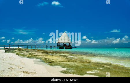 Die schöne Insel Angaga auf den Malediven. Stockfoto