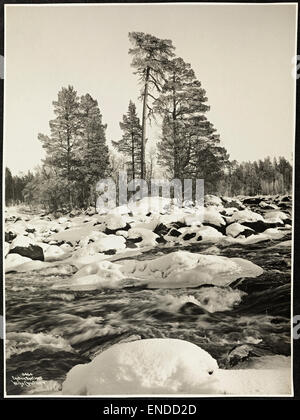 Dieses Foto von anders Beer Wilse fängt die Winterlandschaft des Glomma River in Engerdal, Hedmark, Norwegen ein und zeigt die heitere Schönheit des Winters in der norwegischen Natur. Stockfoto
