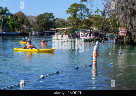 Touristen mit Booten in der Nähe von der Seekuh-Heiligtum von drei Schwestern, Kings Bay, Crystal River, Florida, Vereinigte Staaten von Amerika, USA Stockfoto