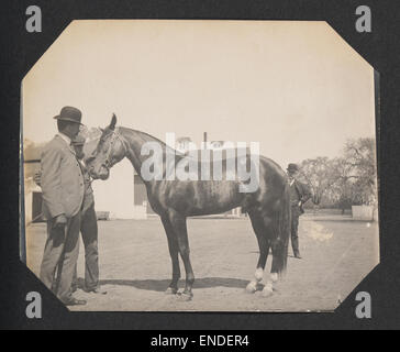 [Männer mit Jährling Pferd] Stockfoto