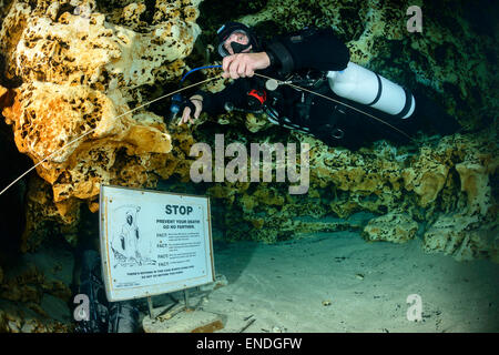 Scuba Diver vom Eingang der Höhle von Ginnie Frühling, Ginnie Springs, High Springs, Gilchrist County, Florida, USA Stockfoto