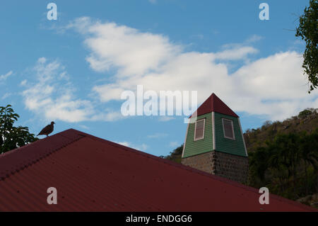 St. Barths, Saint-Barthélemy, Französische Antillen, Karibik: Vogel auf einem roten Dach und der Schwedischen Uhrturm und Glockenturm im Zentrum von Gustavia Stockfoto