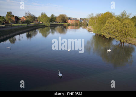 Exeter Kanal und Becken Stockfoto