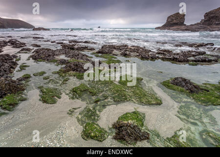 Trevellas Porth in der Nähe von St. Agnes in Cornwall England uk Stockfoto