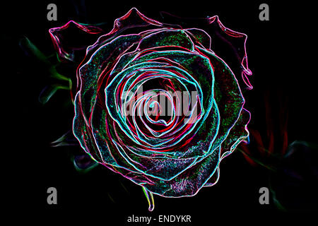 Zusammenfassung Hintergrund machte der rosafarbenen Blume, leuchtende Neon-Stil. Stockfoto