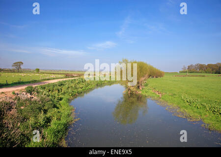 Fluss und Ackerland Somerset England Stockfoto