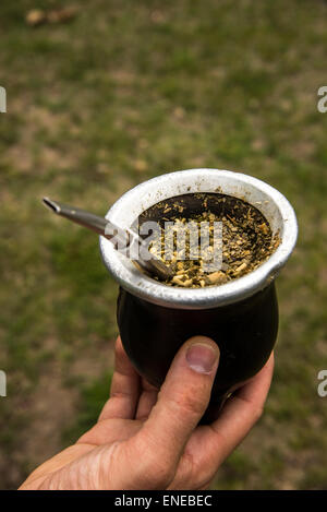 Nahaufnahme des Maté ist eine native südamerikanisches Getränk machte aus der Yerba Mate-Pflanze Stockfoto