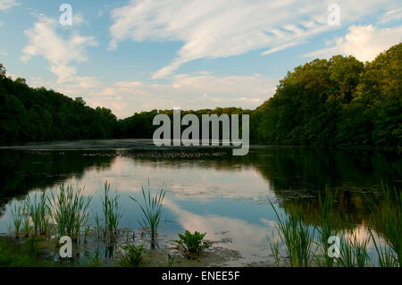 Unteren Teich, AW Stanley Park, New Britain, Connecticut Stockfoto