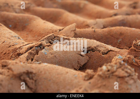 ein Close Up von Traktor-Reifen Spuren im Sand Stockfoto