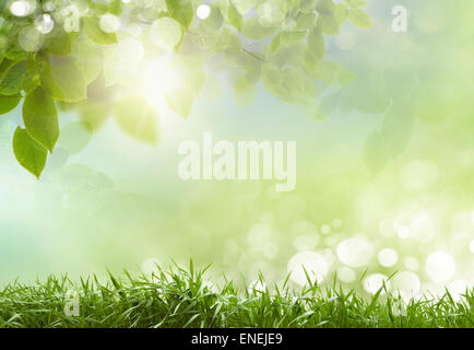 Eco-Natur / grün und blau abstrakt unscharf gestellt Hintergrund mit Sonnenschein Stockfoto