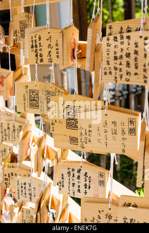 Japanische ema-Tafeln, Wunschtafeln, hängen an einer Rahmung an einem schintoistischen Schrein. Hoffnungen, Wünsche und Widmungen sind darauf geschrieben. Stockfoto